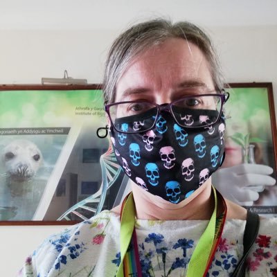 Profile Picture of Hazel Davey🏴󠁧󠁢󠁷󠁬󠁳󠁿🇪🇺 (@hazeldaveyaber) on Twitter