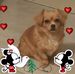 Profile Picture of Valérie Heitzmann (@valerie.heitzmann.58) on Facebook
