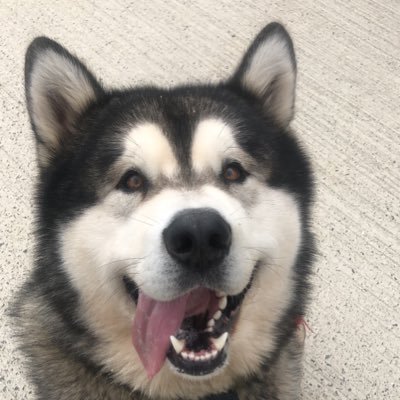 Profile Picture of Maureen Dunne (@MaureenDunne8) on Twitter