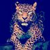 Profile Picture of Mohammad Taleb (@mohammad.taleb.336717) on Facebook