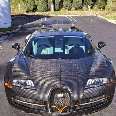 Profile Picture of Miami Exotics (@Jim_Mims) on Twitter