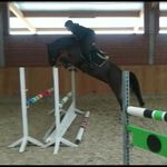 Profile Picture of Baumgartel Marcel (@baumgartelmarcel) on Instagram