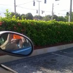 Profile Picture of michaelkittredge (@michaelkittredge) on Instagram