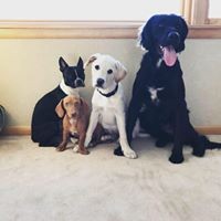 Profile Picture of Caleb Christian (@caleb-christian-7) on Quora