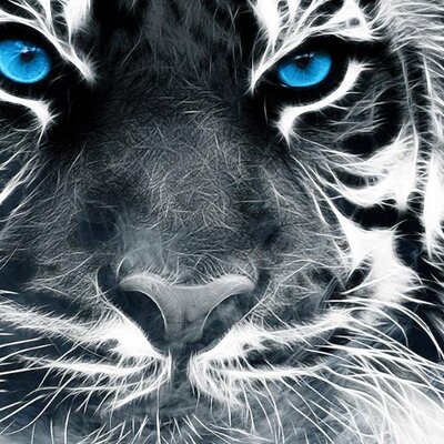 Profile Picture of Mario Platero (@marioplatero1) on Twitter