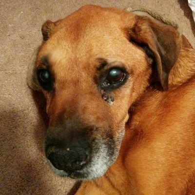 Profile Picture of Haley Conrad (@fcef215c9877464) on Twitter