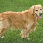 Profile Picture of Cierra Fox (@cierrafox) on Instagram