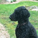 Profile Picture of Léo Menard (@leo.menard.169) on Instagram