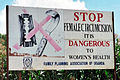 Profile Picture of Female genital mutilationon Wikipedia