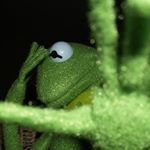 Profile Picture of Smexy Boi Kermit (@bow_down_to_kermit_peasents) on Instagram
