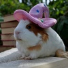 Profile Picture of John Switzer (@@this_is_johns) on Tiktok