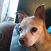 Profile Picture of Bill Holbrook (@bill.holbrook.75) on Facebook