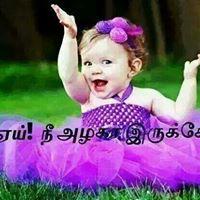 Profile Picture of Kayal David (@kayaldavid) on Twitter