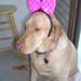 Profile Picture of Martie Heath-Sinclair (@martie214) on Pinterest