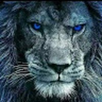 Profile Picture of Nicholas Lofton (@nicholas-lofton-13) on Quora