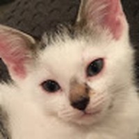 Profile Picture of Jillian Pratt (@jillian-pratt-11) on Quora