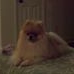 Profile Picture of George Brady (@George-Brady) on Facebook