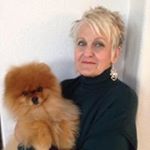 Profile Picture of Suzanne Dorsey (@zeus_and_tobias) on Instagram