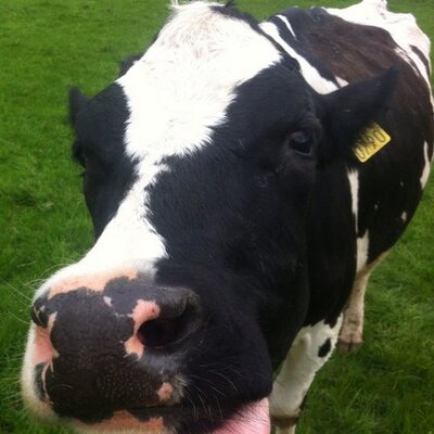 Profile Picture of Peter Farrell (@farmerfarrell) on Twitter