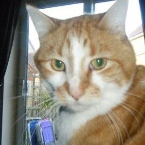 Profile Picture of Tom Purdom (@tom.purdom.7) on Facebook