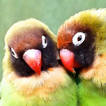 Profile Picture of Angie & Chris Pye (@Chris & Angela Pye) on Flickr