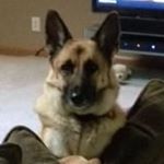 Profile Picture of Charles Kuntz (@charles.kuntz.3) on Instagram