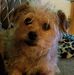 Profile Picture of Tom Maxwell (@tom.maxwell.522) on Facebook