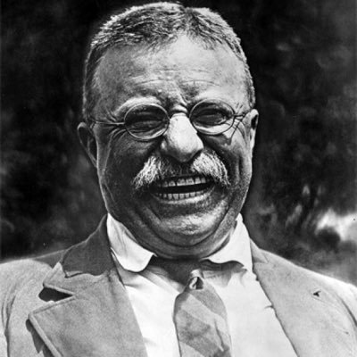 Profile Picture of Michael Schnell (@SchnellyCat) on Twitter