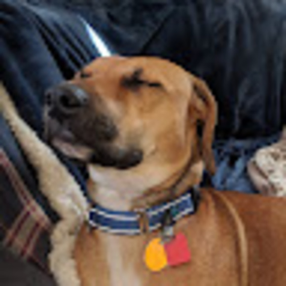 Profile Picture of David Horn (@dkhorn27) on Poshmark