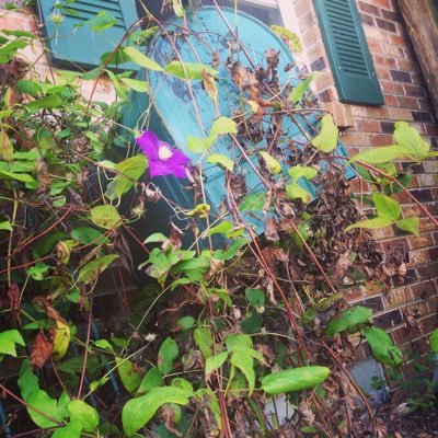 Profile Picture of Phoebe Hudson (@PhoebeHudson19) on Twitter