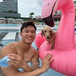 Profile Picture of Joel Chua (@doggyisnice) on Instagram