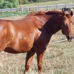 Profile Picture of Florence Müller (@Florence-Müller) on Facebook