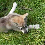 Profile Picture of Sandra Curry (@sandracurry8131) on Youtube