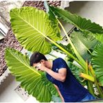 Profile Picture of Venkatesh Mohan (@venkateshmohan4) on Instagram
