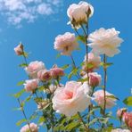 Profile Picture of Harold Lillian (@Harold-Lillian) on Facebook