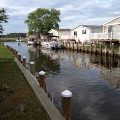 Hassan Dawod Rashwan - Twitter Profile Picture of Hassan Dawod Rashwan (@moongate_2012) on Twitter