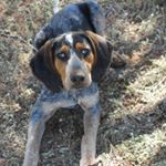 Profile Picture of Scott Mara (@scott.mara.980) on Instagram