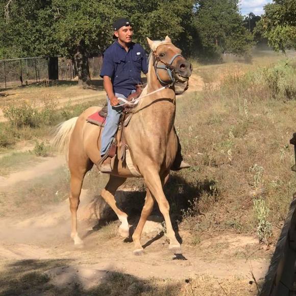 Profile Picture of Hugo Marquez (@hugodad) on Poshmark