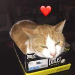 Profile Picture of Joyce Morehouse (@Joyce-Morehouse) on Facebook