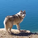 Profile Picture of Jacques Champigny (@Jacques-Champigny) on Facebook