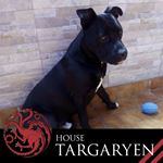 Profile Picture of Tomas Leal Duran (@tomas0kk) on Instagram