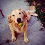 Profile Picture of Teifion (@arnabiyarernzculkqcy) on Instagram