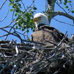 Shawn Morneault - Instagram Profile Picture of Shawn Morneault (@4seasonscenery) on Instagram