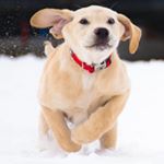 Profile Picture of Joel M. (@joel_m._vance) on Instagram