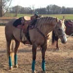 Profile Picture of Ginger Thornton-LeBlanc (@canchsr) on Instagram