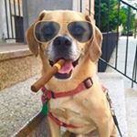 Profile Picture of Robert Loughlin (@rbjns12) on Instagram