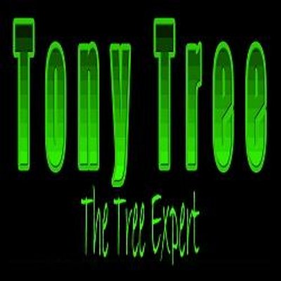 Profile Picture of Tony Tree The Tree (@@wonderful_toni) on Twitter