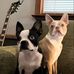 Profile Picture of Barry Coulter (@barry.coulter.585) on Facebook