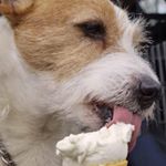 Profile Picture of David Fearon (@fearon.david) on Instagram