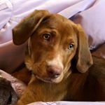 Profile Picture of Peter Sposato (@peterspo1313) on Instagram